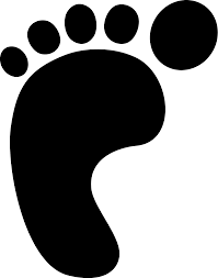 how would you reduce your footprint in the environment