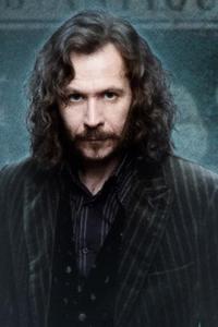 What is Sirius Black's brother's name? (First and last)