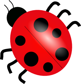 How many spots does a ladybug have