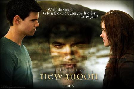 Since Jacob was always warm, what did Bella refer him to?