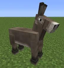 Can Donkeys Wear Armour?