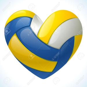 What color is the orgaginal volleyball?