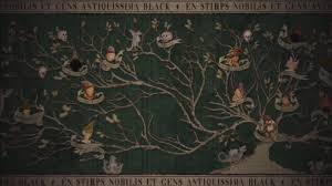 In Harry Potter and the Order of the Pheonix, what happened to Sirius Blacks picture on the Black family tree tapestry?