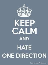 Do You Like One Direction? (I hate them >.<)