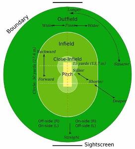 What is the official size of a cricket field?