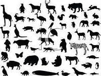 What is your fave animal?