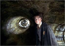 Which type of magical creature comes to Harry Potters rescue in Harry Potter and the Chamber of Secrets?