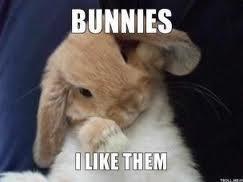 do you like bunnies?