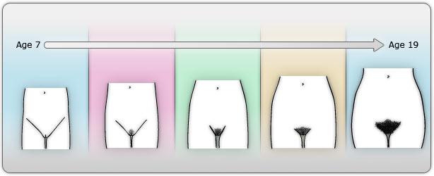 How long have you had hair? (it doesn't mater where)