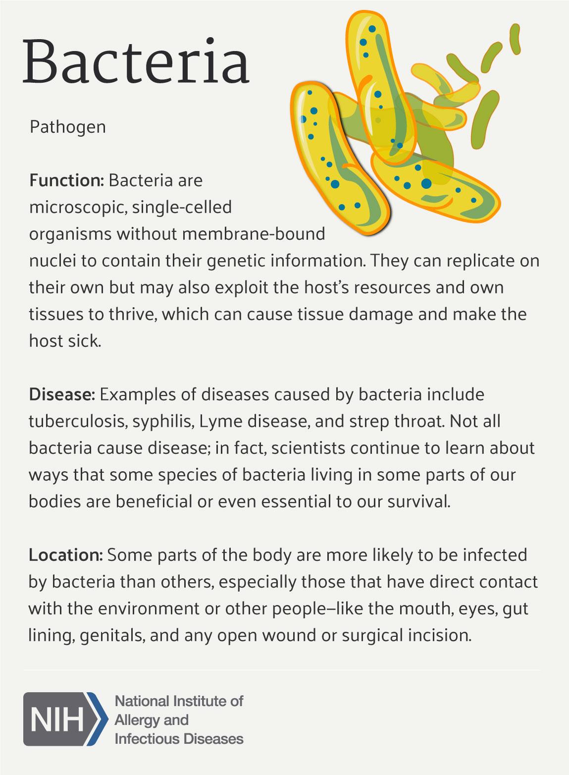 Which of the following is a disease caused by bacteria?