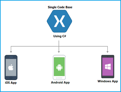 Which platform allows developers to build native iOS and Android apps from a single codebase?