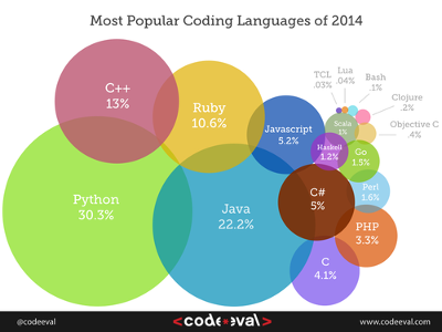 Which programming language is primarily used for web development?