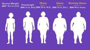 What is your Body Mass Index (bmi)?