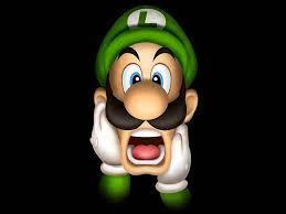 Luigi owns a: