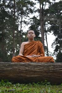 What is the term for a Buddhist monk?