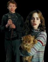 harry Ron and hermione have had a strong bond of friendship since their first year at Hogwarts,however they did fall out a couple of times throughout the series, which one of these reasons was not a reason for them to fall out at anytime?