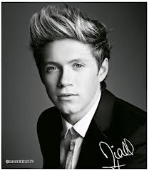 naill: cool, what's your favourite coulor?