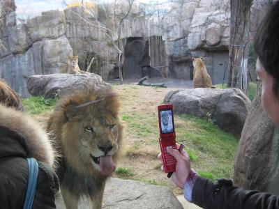 How do you like to spend your day at a zoo?