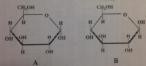 Which of these molecules could be polymerized to form starch (amylose)?