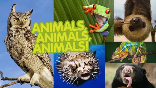 What's your favorite animal on this list?