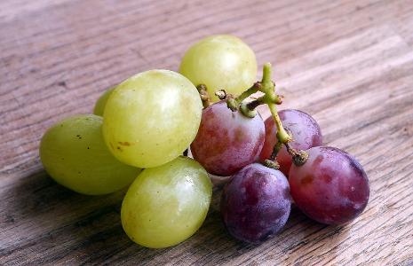 Fill in the blank: 'What did the green grape say to the purple grape?'
