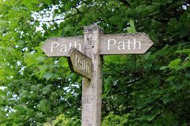 Finally, which path would you take?