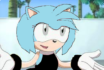 "Hey are you alright?" You turn around to see a light blue coloured hedgehog with grey eyes whereing black and white. She walked over to you and picked the glass up. "I was tring to pick the lock with it and got angry" she said rubbing the back of her head chuckling.