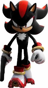 shadow:we need to take you to our world so you will be safe,i'm shadow by the way silver:yea you are the chosen one,i'm silver knuckles:i'm knuckles sonic: i'm sonic me:and i'm riko you:i'm not going to your world me:i'm sorry to do this*hits you with  a frying pan*