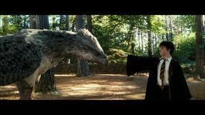 If you had a chance to see any of the magical creatures throughout the entire Harry Potter series which would be the main one you would want to see?