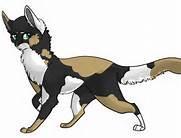 Which one of TigerStars kits left ThunderClan to join ShadowClan?