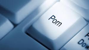 If you ever had, or are planning to watch porn, what type is/was?