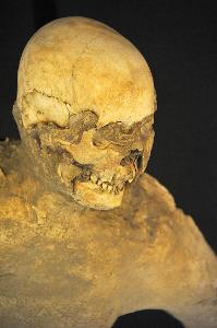 Which branch of Anthropology studies ancient human remains and artifacts?