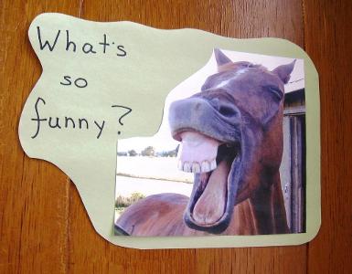What type of humor do you enjoy the most?