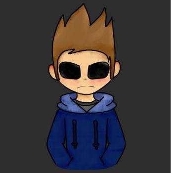 Are you Tom or Tord? - Personality Quiz