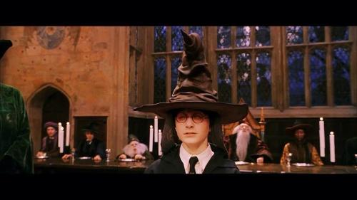 What house would the Sorting hat put you in?