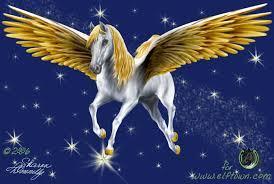 What do you think pegasus are?