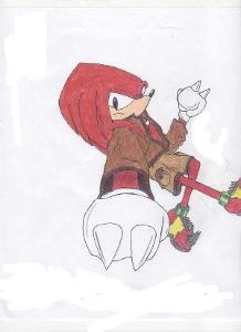 You saw that girl whisper something in his ear. "Introduce yourself," she said. "Hi I'm Shadow the Hedgehog." "Sorry about in the hallway I'm Alexis the Hedgebat." "Who was that girl you were chasing?" "Oh yeah her she's Amy Rose, she's super annoying." You saw a red echidna walk in and a blue hedgehog.