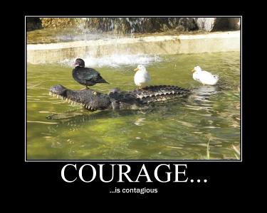Are you courageous in battle?
