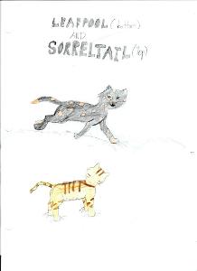 How Do Sorreltail And Leafpaw Know Something Is Wrong With WindClan?