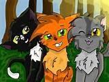 Firepaw first met who in a clan?