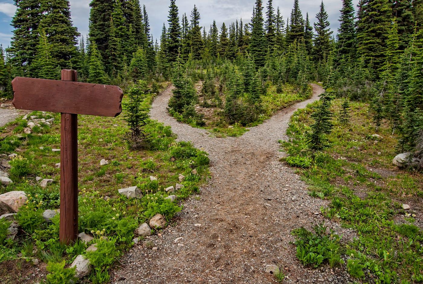 Are you comfortable making decisions on the spot?