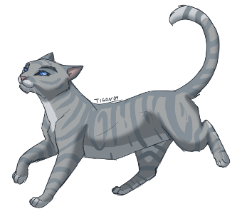 How often do you think of Warrior Cats?