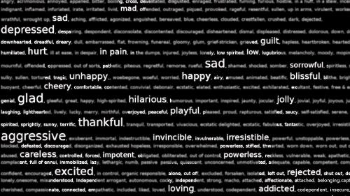 What words best describe your emotional state?