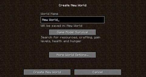 What is the first thing you do when you start a new world?