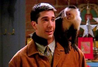 What was the name of Ross's pet monkey?