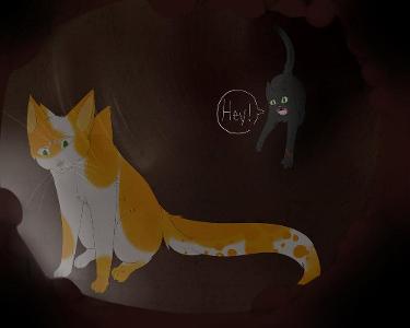 Who is your fave warrior cat?