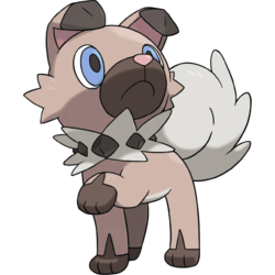 You eventually go to the jym and on your way you caught a lv5 rockruff! You also get a pickiepek and a shuppet! The leader sends in pidgeoto!