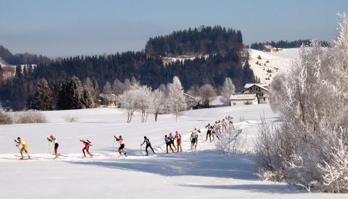 Cross-Country skiing originated in which country?