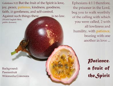 What is one of the fruits of a person's faith, according to the Bible?