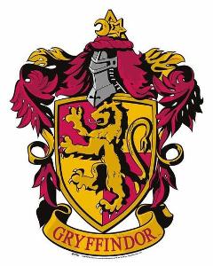 What year did Harry become the Gryffindor team captain?
